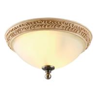 Потолочный светильник Arte Lamp Ivory A9070PL-2AB