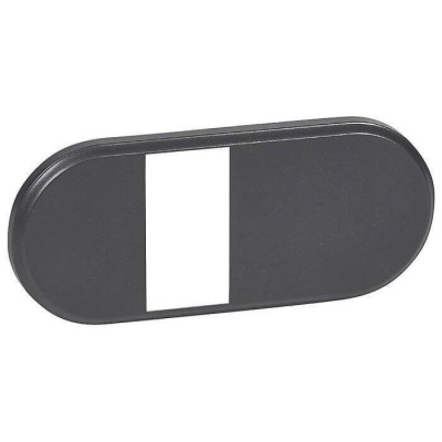 Лицевая панель Legrand Celiane розетки для электробритв графит 067935