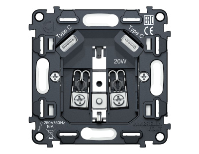Механизм электрической розетки 2USB С+C 20W (быстрая зарядка) с/з на винтовых зажимах 16A-250V QUANT Ambrella Volt VM165