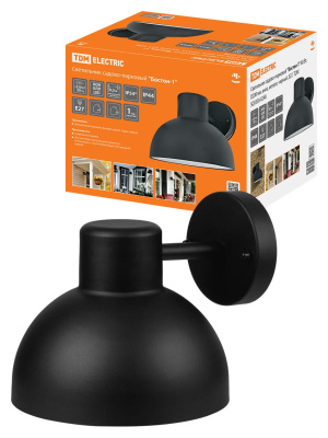 Уличный настенный светильник TDM Electric Бостон-1 SQ0330-0248