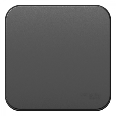 Выключатель 1-клавишный 10А 250B изолир. Пластина Systeme Electric Blanca наруж Антрацит BLNVA101016