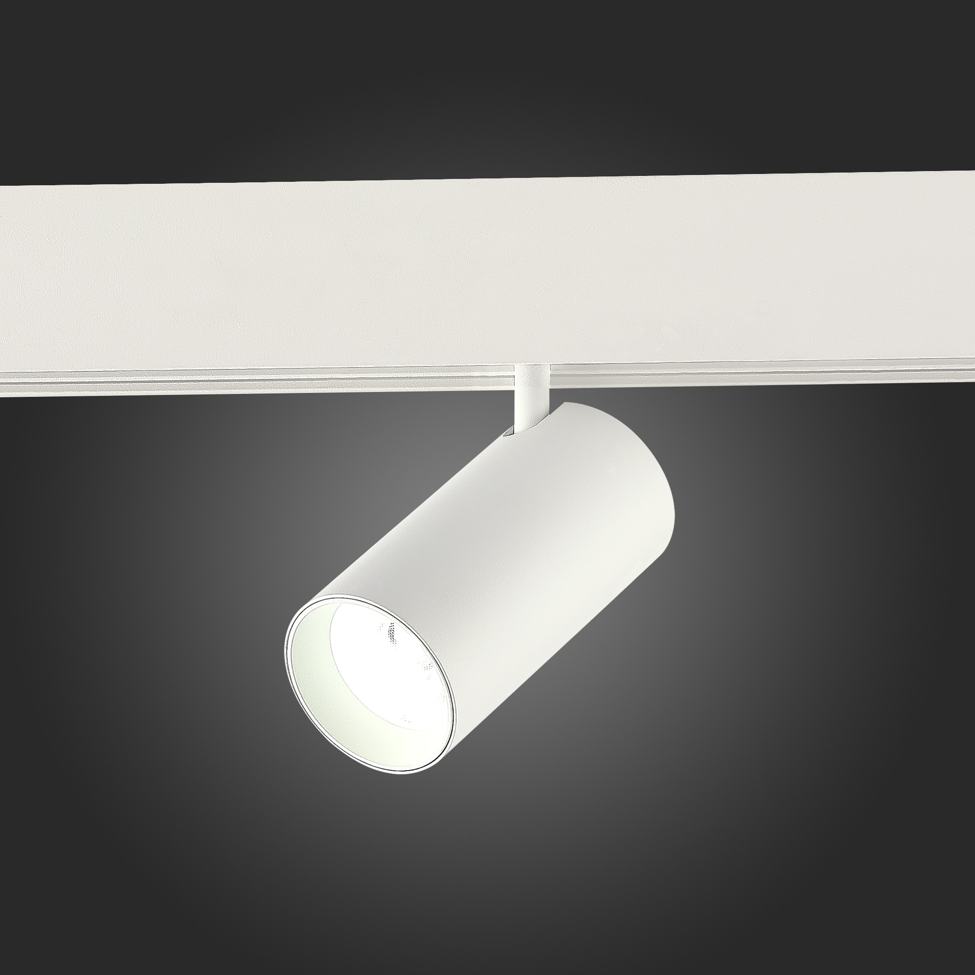 Трековый светильник ST Luce Skyline 48 ST375.506.20