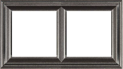 Рамка двухместная Jung EPD482AN