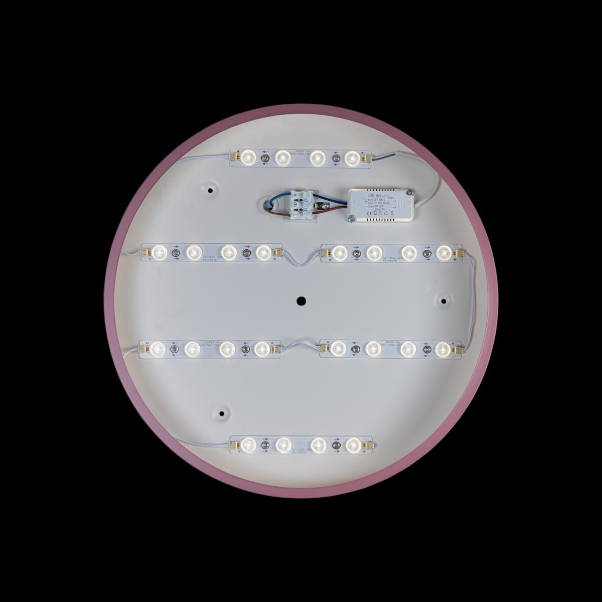 Потолочный светильник Loft IT AXEL 10003/24 Pink