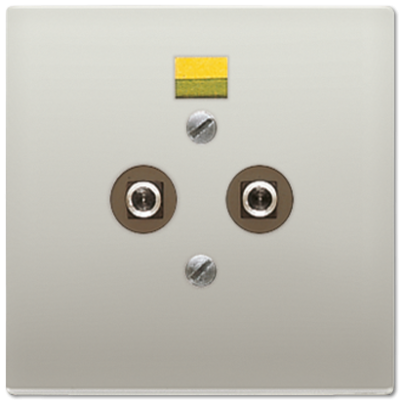 Розетка штепсельная Jung ES2965-2