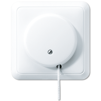 Выключатель шнуровой Jung 5506ZUWW