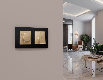 Лицевая панель Alfa (Шампань) для терморегулятора теплого пола Quant Ambrella Volt AP6057