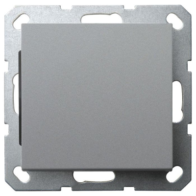 Выключатель одноклавишный Jasmart в комплекте с накладкой 10A 250V цвет алюминий G3011S