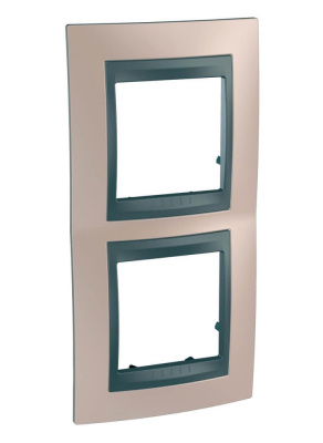 Рамка 2-постовая вертикальная Schneider Electric Unica Top MGU66.004V.296