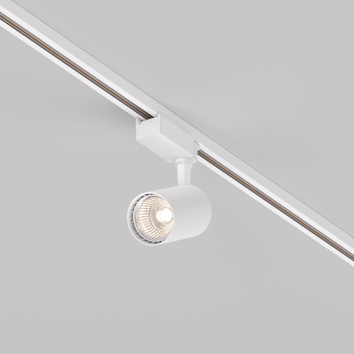 Трековый светильник Maytoni Technical Vuoro TR003-1-10W3K-W-W