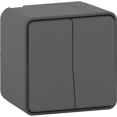 Выключатель 2-клавишный Schneider Electric MUR40914