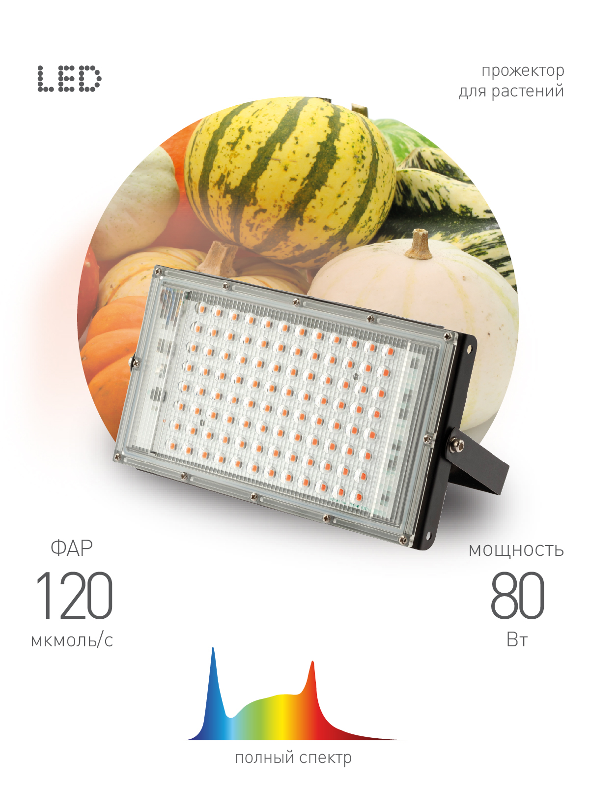 Фитопрожектор для растений Эра FITO-80W-Ra90-LED-Y Б0057284