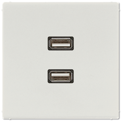 Розетка USB Jung MALS1153LG