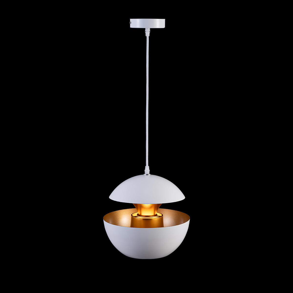 Подвесной светильник Loft IT LOFT2213-A