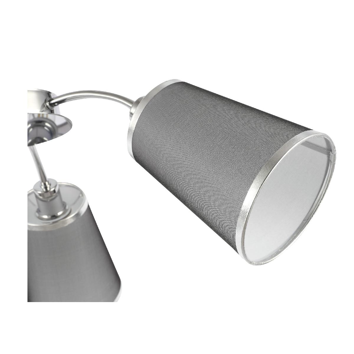 Потолочная люстра EVOLUCE MALEONTE SLE103002-03