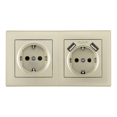 Розетка двойная (двухпостовая) с USB Arte Milano SET06-2-47-1-40-1 shampan