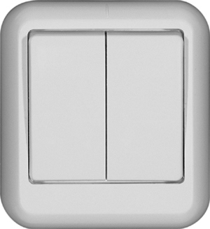 Выключатель 2-клавишный Schneider Electric Прима A56-029I-B