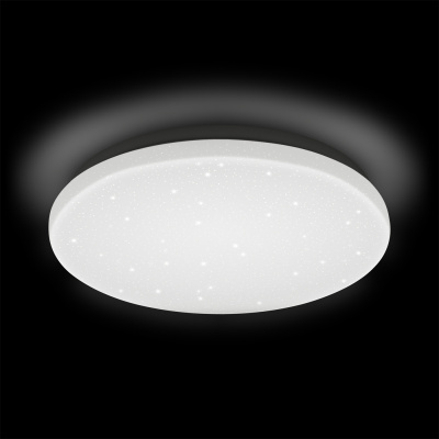 Потолочный светильник Ritter Stardust 52184 6