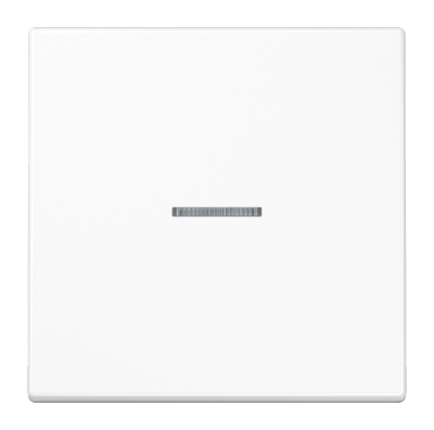 Клавиша с линзой Jung LS990KO5WW