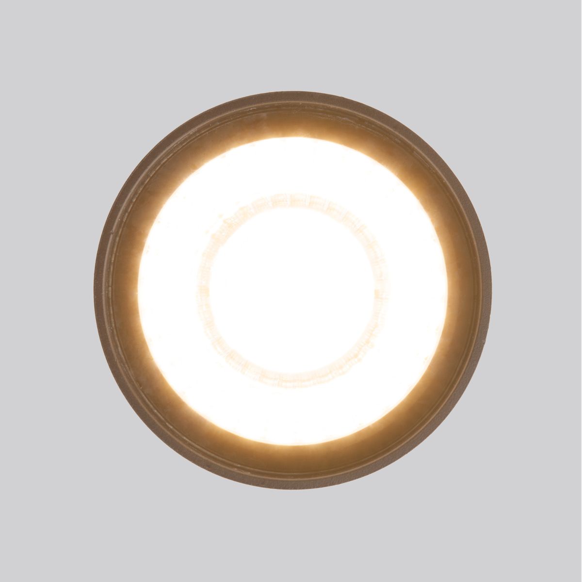 Уличный потолочный светильник Elektrostandard Light LED 4690389176975
