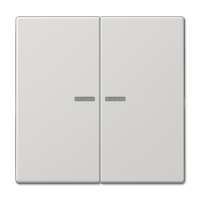 Клавиша 2-ная с 2-мя линзами Jung LS990 LS995KO5LG