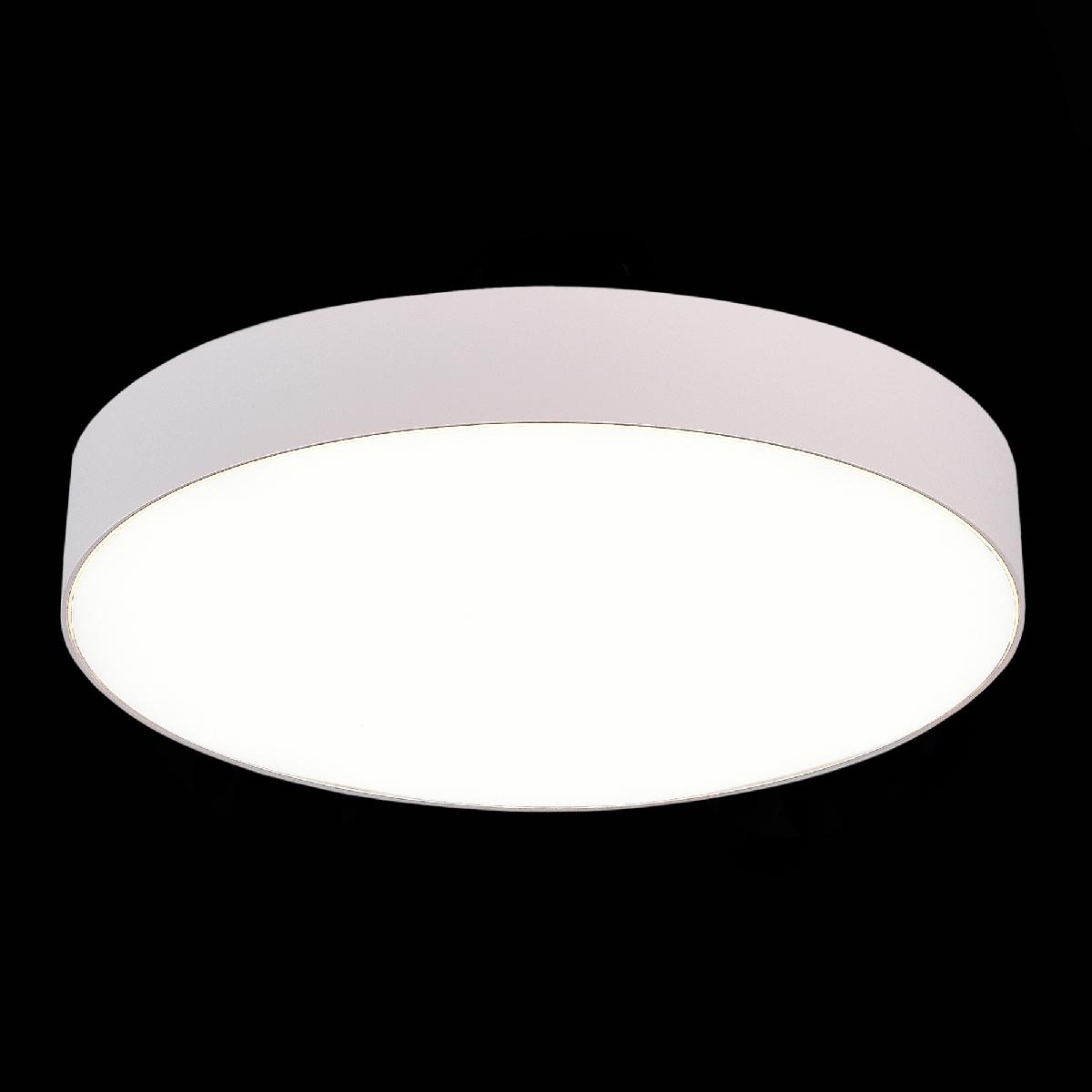 Потолочный светильник ST Luce ST606.542.48