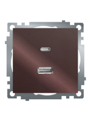 Розетка 2-местная USB + type C Stekker Катрин GLS10-7116-04 50057