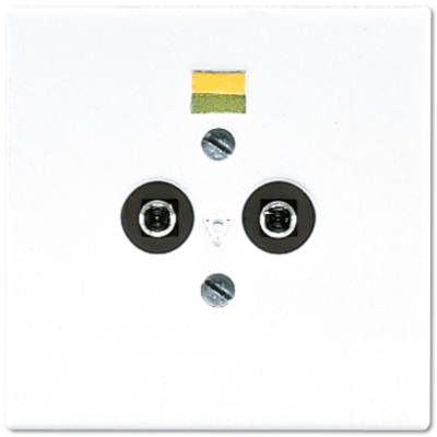 Розетка штепсельная для выравнивания потенциалов Jung LS965-2WW