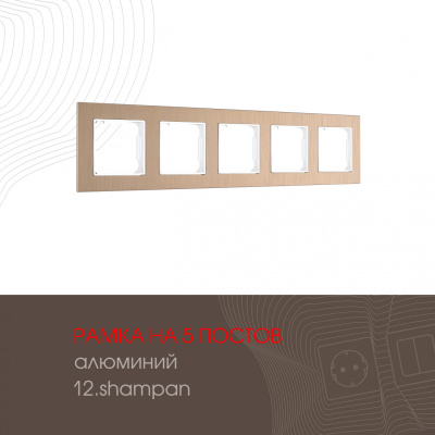 Рамка пятиместная Arte Milano 503.12-5.shampan