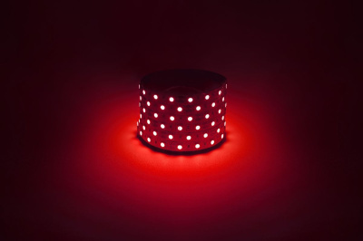 Светодиодная лента Эра 12В 5050 14,4Вт/м красный 5м IP20 LS5050-14,4-60-12-R-IP20-1 year-5m Б0059919