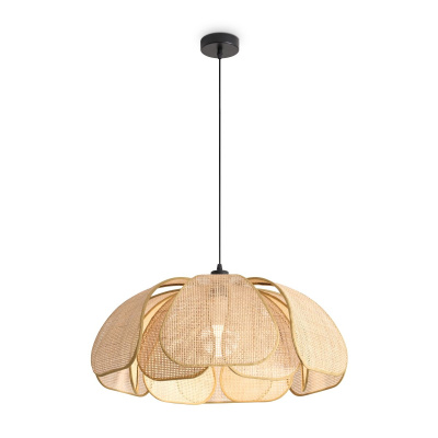 Подвесная люстра Freya Cocoon FR5529PL-01B