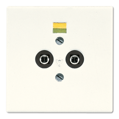 Розетка штепсельная для выравнивания потенциалов Jung LS965-2