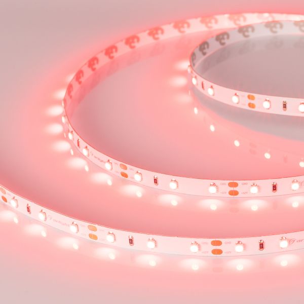 Светодиодная лента Arlight RT-A60-8mm 12V Red (4.8 W/m, IP20, 2835, 5m) 010526(2)