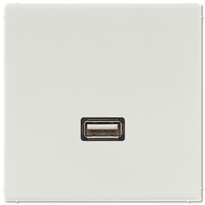 Розетка USB Jung MALS1122LG