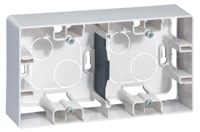 Коробка для накладного монтажа 2-постовая Legrand Etika белая 672530