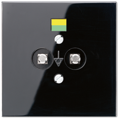 Розетка штепсельная для выравнивания потенциалов Jung LS965-2SW