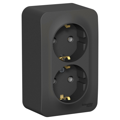 Розетка 2-ая с/з без шторок 16А, 250В, изолир. Пластина Systeme Electric Blanca наруж Антрацит BLNRA010216