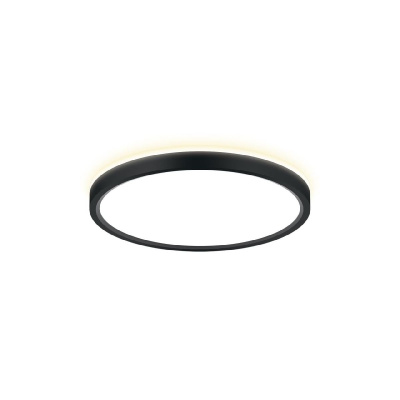 Потолочный светильник Citilux Norma CL748241