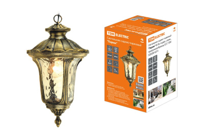 Уличный подвесной светильник TDM Electric Париж SQ0330-0214