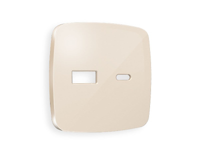 Лицевая панель для розетки 2USB тип A+C Ambrella Volt Omega OP3110