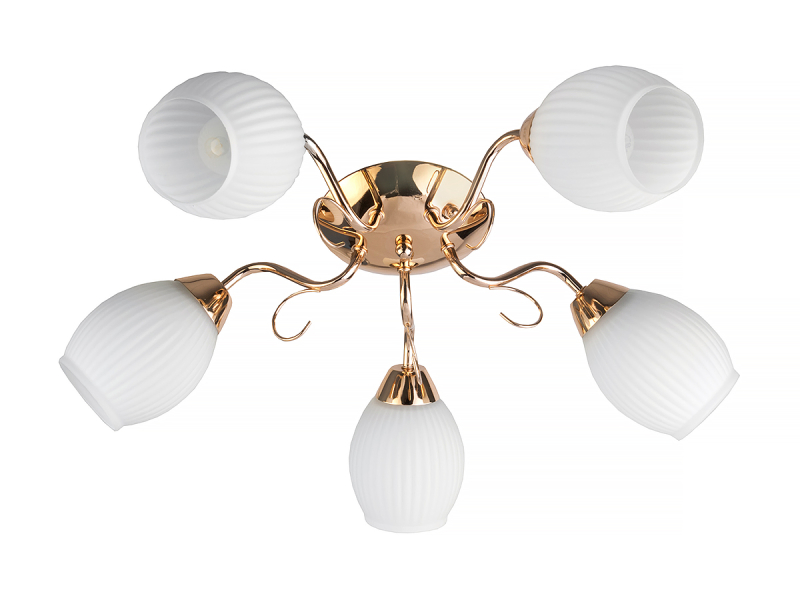 Потолочная люстра Toplight Kristin TL3520X-05FG