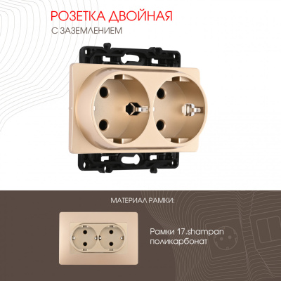 Розетка двойная с заземлением Arte Milano 217.40-2.shampan