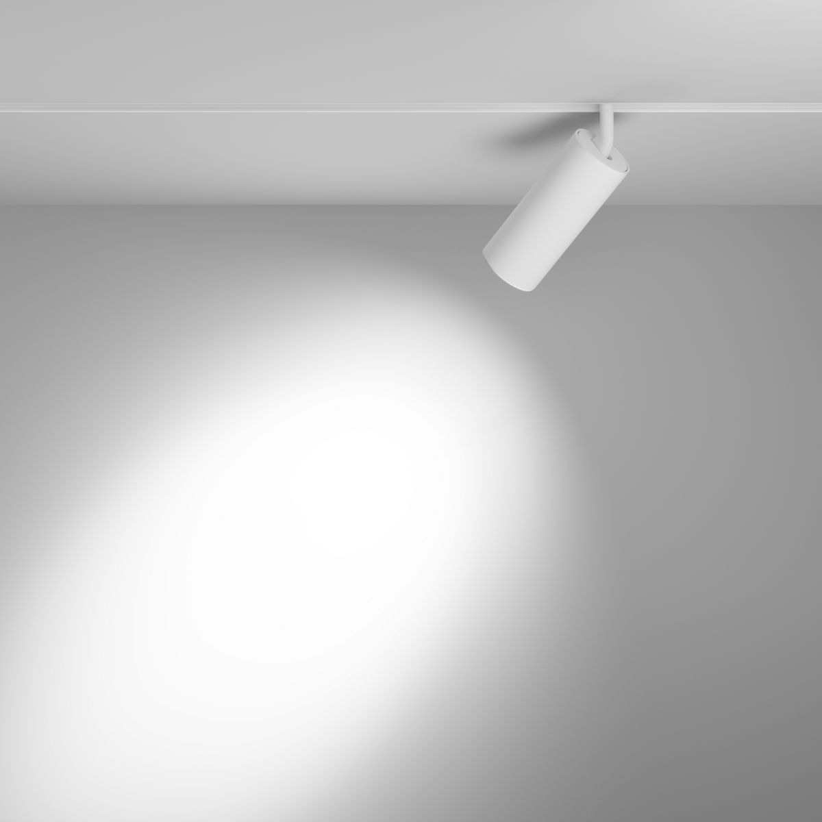 Трековый магнитный светильник Maytoni Focus LED TR032-4-20WTW-M-DSZ-W
