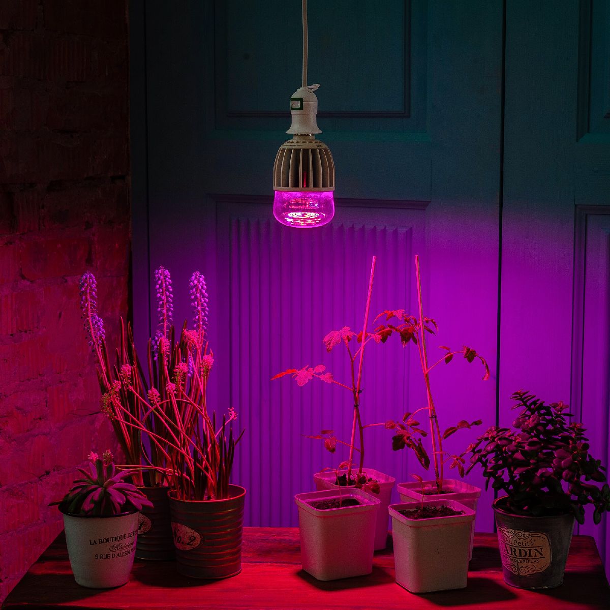 Лампа светодиодная для растений (11098) Uniel E27 20W прозрачная LED-M80-20W/SP/E27/CL ALS55WH