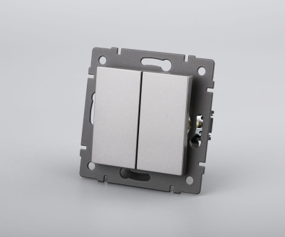 Механизм выключателя двухклавишный самовозвратный Arlight SWT-MKR2-PL-GR-V (250V, 10A) 049885