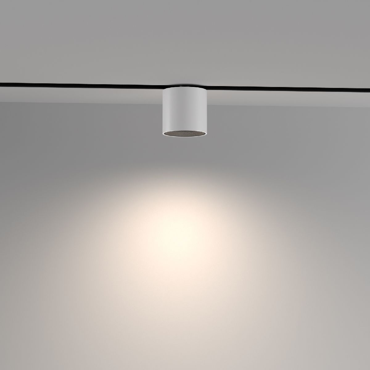 Трековый магнитный светильник Maytoni Alfa S TR132-4-7W-DS-W
