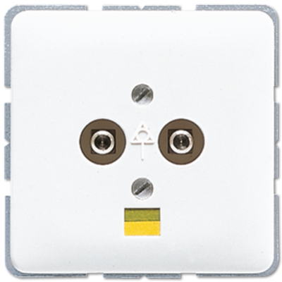 Розетка штепсельная для выравнивания потенциалов Jung CD565-2WW