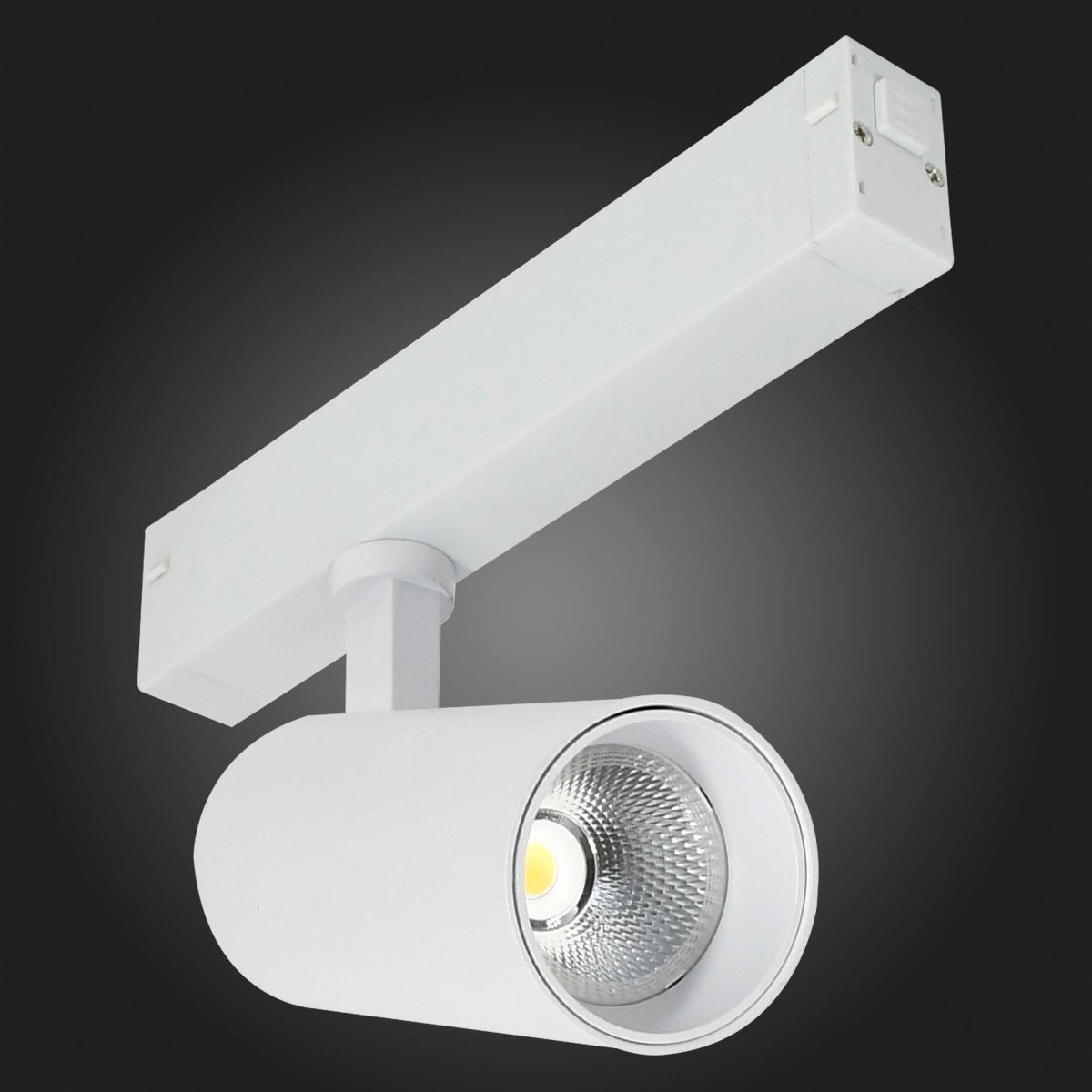 Трековый светильник ST Luce Skyline 220 Smart ST660.596.20H