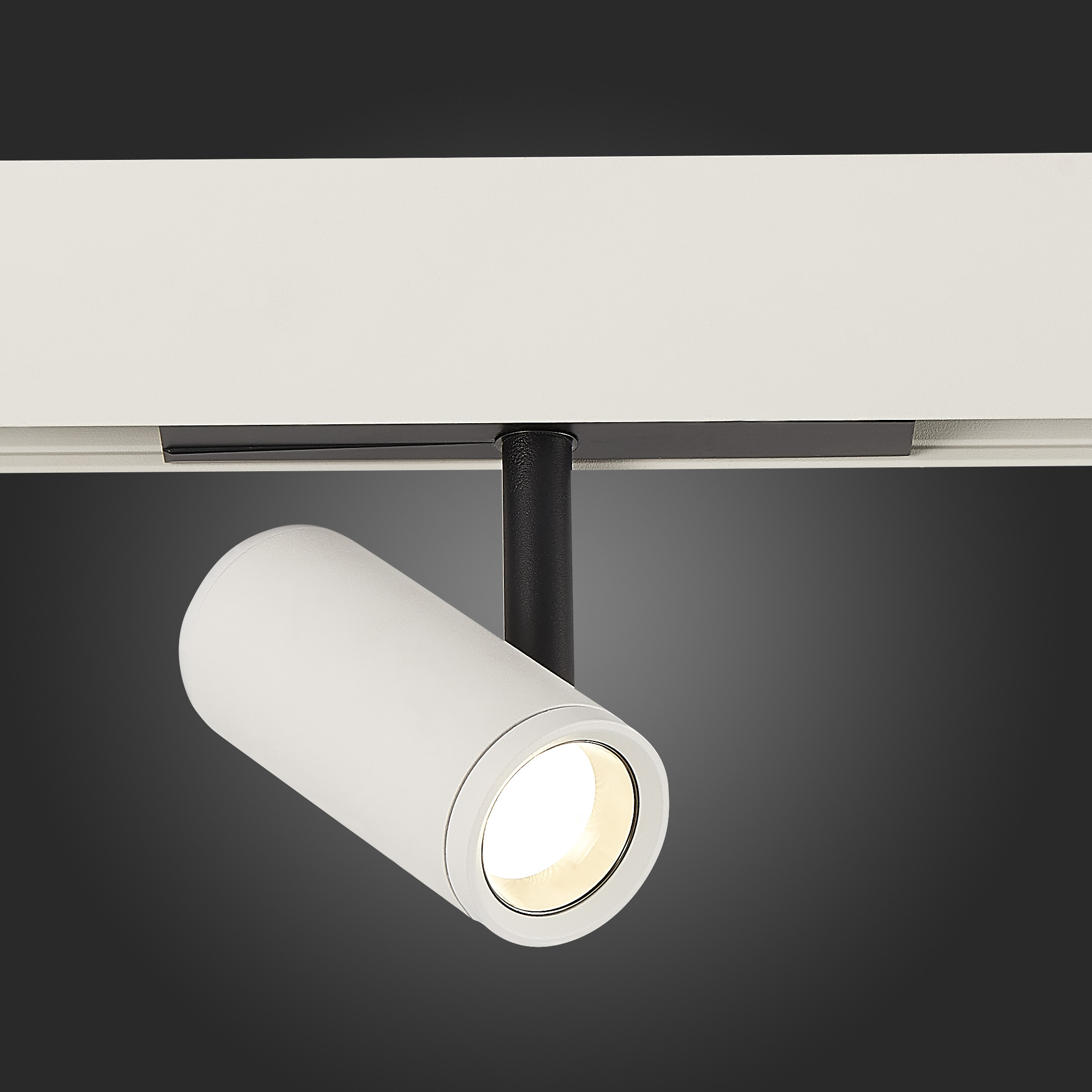 Трековый светильник ST Luce Skyline 48 ST808.546.08