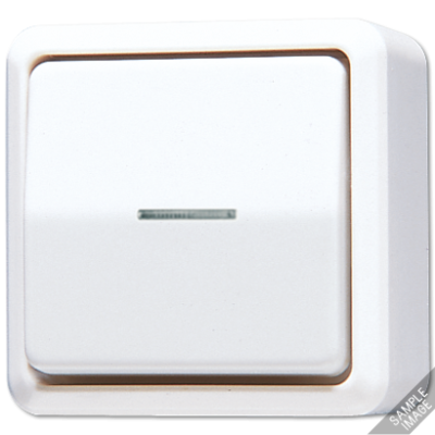 Выключатель контрольный Jung 606KO5A